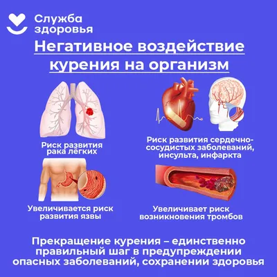 Пензенцы смогут услышать советы по борьбе с курением от эксперта — Медицина  — Пенза СМИ