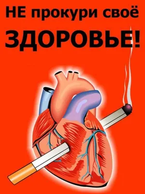 ЗОЖ - АУ СО ВО "Устюженский дом социального обслуживания для граждан  пожилого возраста и инвалидов"