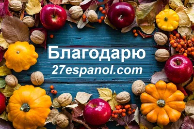 Thanksgiving Day | Английский 9 класс, Изучение английского, Грамматические  уроки