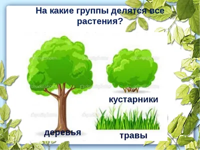 Конспект занятия в подготовительной группе по лексической теме «Деревья  осенью» - «Дошколёнок.ру»