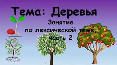 Деревья и кустарники. Дидактические игры по экологии для дошкольников