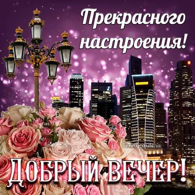 Алексей Неверов принял участие в телевизионной программе «Добрый вечер,  Гомель!» - Ветковское районное объединение профсоюзов