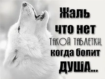 Как исцелить свою душевную боль? - Короткий, мудрый совет Джозефа Кэмпбелла  | Мудрость жизни | Дзен