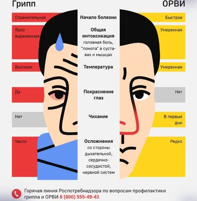 Вакцинация против гриппа!