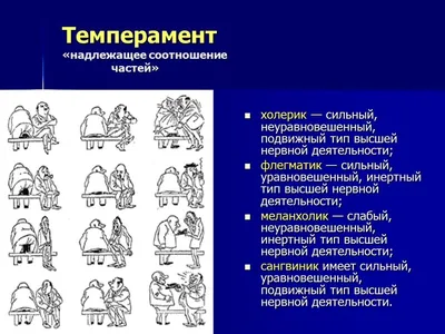 Характер человека. Взаимосвязь характера и темперамента. Характер и  общение. Акцентуации характера. Часть 1. | Загадка Человека | Дзен