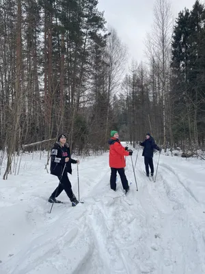 Знаменитый европейский лыжник потребовал вернуть Россию. А норвежцам  предложил заткнуться