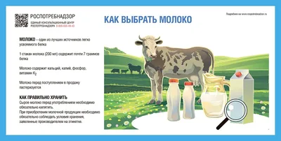 Что будет, если каждый день есть молочку? Плюсы и минусы молочной продукции  - Чемпионат