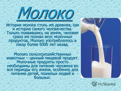 Презентация на тему: "Молоко и молочные продукты" - начальные классы,  презентации