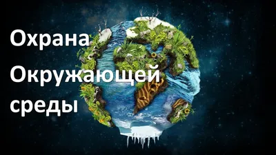5 июня - День охраны окружающей среды - 5 Июня 2014 - Эко-радуга_Муравленко
