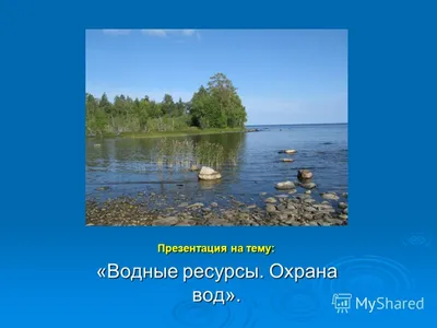 Экологические проблемы охраны водных ресурсов от загрязнения сточными  водами и животноводческими стоками – тема научной статьи по экологическим  биотехнологиям читайте бесплатно текст научно-исследовательской работы в  электронной библиотеке КиберЛенинка