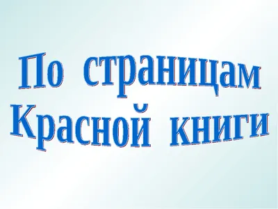 В Коми подвели итоги творческого конкурса плакатов среди школьников на тему  "Охрана диких животных" | Комиинформ