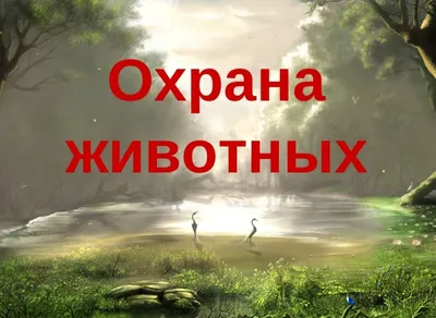 Охрана животных