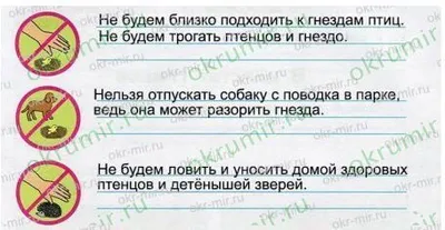 Презентация на тему: "Охрана животных и растений. Почему была создана  Красная книга? С 1600 года на нашей планете вымерло около 150 видов животных.  С 1600 года на нашей планете.". Скачать бесплатно и без регистрации.