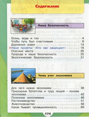 Урок по окружающему миру в 3 классе на тему "Экология и экономика"