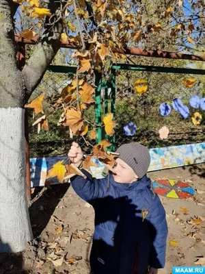 8 городов России, в которых нужно побывать осенью - Лайфхакер