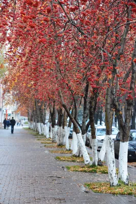 Фотоконкурс «Как элегантна осень в городе – 2018»