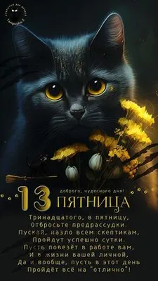 Идеи на тему «ПЯТНИЦА 13» (7) | пятница 13-е, смешные открытки, открытки