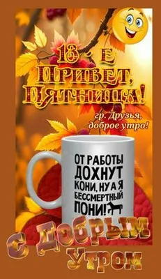 Открытки. Пятница 13-е! Ну и что! | Пятница 13-е, Открытки, Картинки