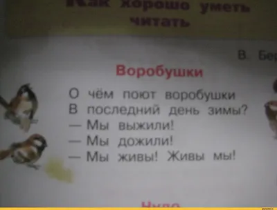 Какой будет зима в Волгограде по народным приметам и метеопрогнозам, когда  выпадет снег -  - 