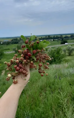 Детские рисунки «Земля — наш общий дом» 2023, Алексеевский район — дата и  место проведения, программа мероприятия.