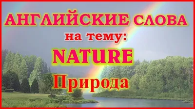 Английский для начинающих. Английские слова на тему: Природа Nature. -  YouTube