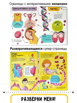 Что такое счастье? реферат по психологии | Сочинения Психология | Docsity