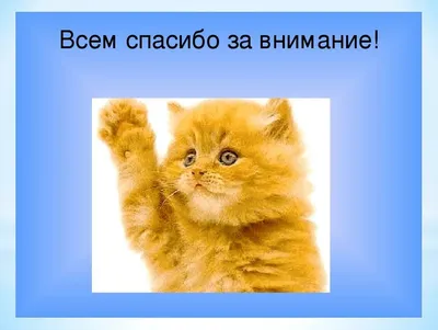 Картинки для презентации "Спасибо за внимание!" (102 шт.)