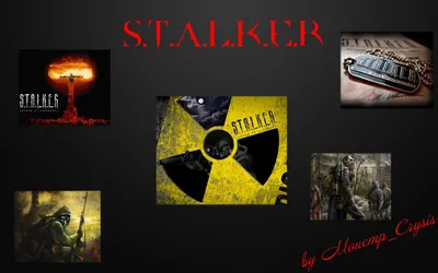 HD плащи на тему игры Stalker. » MinecraftOnly