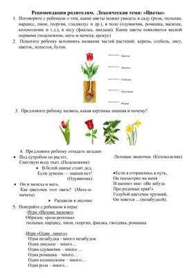 Бесплатные стоковые фото на тему hd обои, белые цветы, весенние цветы,  весна, глубина резкости, дерево, крупный план, лепестки, листья, нежный,  обои 4k, обои с цветами, размытый, рост, флора, фокус, цвести, цветение,  цветущий,