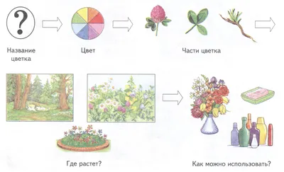 Бесплатные стоковые фото на тему завод, красивые цветы, красивый, крупный  план, лепестки, на открытом воздухе, пион, пыльца, рост, сад, флора,  цвести, цвет, цветение, цветок, цветущий, яркий