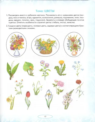 вектор ручной рисунок цветы в чашке для чая. картина на тему летних цветов  флористика. Иллюстрация вектора - иллюстрации насчитывающей открытка,  зеленый: 224591102