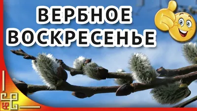 Хабаровск Православный | В помощь миссионеру. Издан буклет для  распространения в хабаровских храмах в Вербное воскресенье