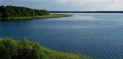 Тема проекта «ВОДА - ИСТОЧНИК ЖИЗНИ»1-й вариантСоздай кластер о значении  воды в жизни всего - Школьные Знания.com