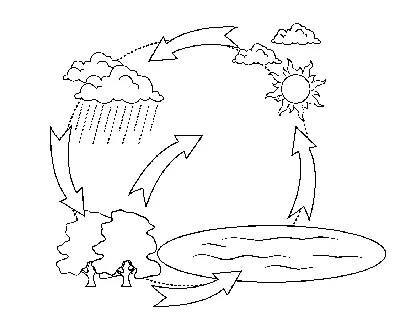 Круговорот воды в природе раскраска - 68 фото
