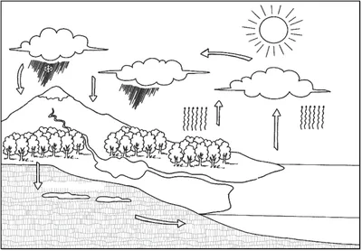 Круговорот воды в природе раскраска - 68 фото