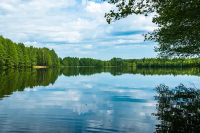 Что делать, чтобы улучшить качество воды в Казахстане – ЛИВЕНЬ