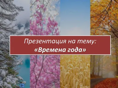 Антонио Вивальди. Творческий портрет. Цикл концертов «Времена года»"