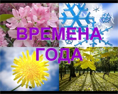 Времена года - презентация 3 класс