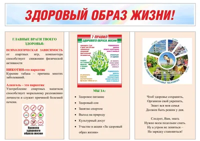 Здоровый образ жизни. Полезные советы © СШ 2 г.п.Шарковщина