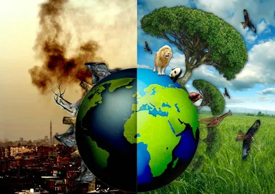 Картинки на тему не загрязняйте планету (68 фото) » Картинки и статусы про  окружающий мир вокруг