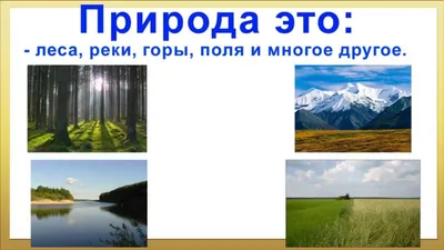 Презентация по географии на тему "Загрязнение и охрана окружающей среды"  (10 класс)