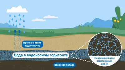 Презентация по географии на тему "Загрязнение гидросферы" 7 класс