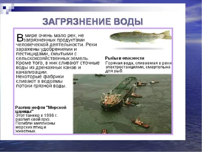 Последствия загрязнения воды