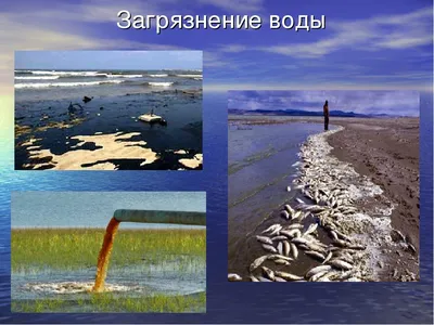 Росгидромет зафиксировал экстремальное загрязнение воды после ЧП в Сибири —  РБК