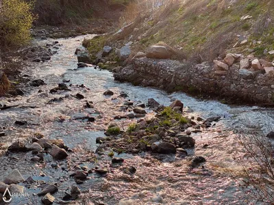 Что делать, чтобы улучшить качество воды в Казахстане – ЛИВЕНЬ