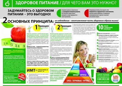 Стенд "Здоровый образ жизни" (арт.АГ-11) купить в Москве с доставкой: цены  в интернет-магазине АзбукаДекор