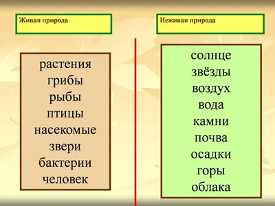 Вопросы и ответы о живой и неживой природе - купить с доставкой по Москве и  РФ по низкой цене | Официальный сайт издательства Робинс