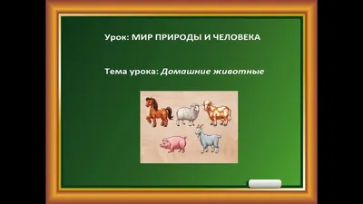 Пластилинография на тему «Животные» в подготовительной группе (5 фото).  Воспитателям детских садов, школьным учителям и педагогам - Маам.ру