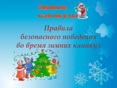 Зимние каникулы 2023 – 2024 в школах - Львов - когда и сколько будут  отдыхать ученики - Учеба