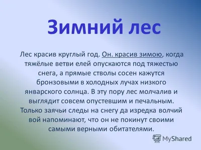 Детский сад № 39 г. Владивостока. Макет зимнего леса .